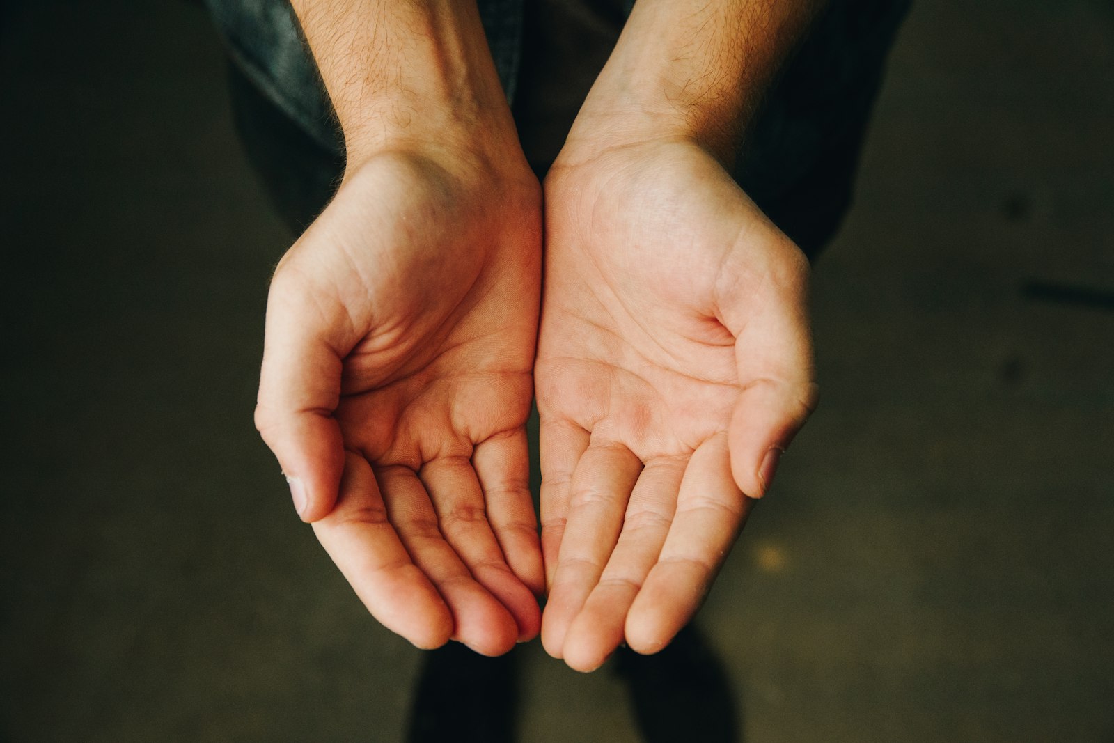 Two open hands held out, palms facing up