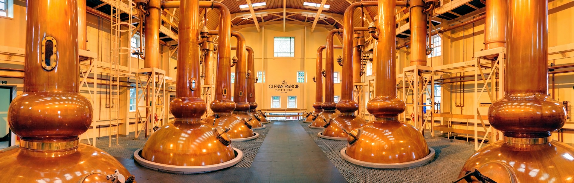 Rows of copper stills in a distillery production hall